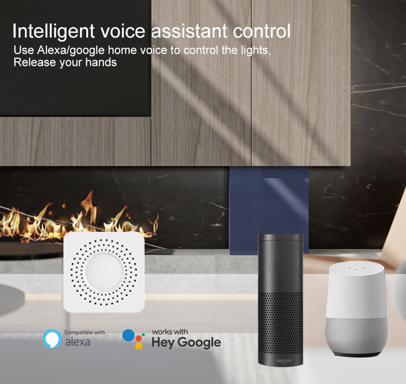 Tuya Mini Smart Switch WiFi 1- - Smart Accessories recensie en prijs